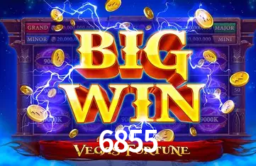 Flash Promotion 6855